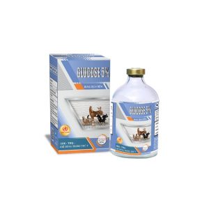 THÀNH PHẦN Glucose khan …..……….…. 5g Dung môi vừa đủ………..100 ml CHỈ ĐỊNH ĐIỀU TRỊ Tiêm truyền tĩnh mạch để điều trị mất nước (trong trường hợp không co giật) ở gia súc, bê, ngựa, chó và mèo. Thuốc được sử dụng để bù nước khi động vật không thể uống hoặc cơ thể bị mất nước không bù. Giải độc trong các trường hợp bị nhiễm độc cho gia súc, bê, ngựa, chó và mèo, cải thiện tạm thời việc hạ đường huyết. CÁCH DÙNG VÀ LIỀU LƯỢNG Tiêm truyền tĩnh mạch với tốc độ không quá 10 ml/kg TT/giờ CHỐNG CHỈ ĐỊNH Không sử dụng cho động vật bị tăng đường huyết (hyperglycaemic) BẢO QUẢN Nơi khô mát, tránh ánh sáng trực tiếp. CHỈ DÙNG TRONG THÚ Y