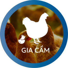 https://thienquanjsc.com/thuoc-thu-y/thuoc-thu-y-cho-gia-cam-ga-vit/